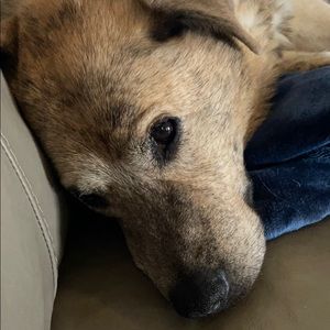 Meet your Posher, Aaron